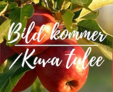 Äppelsaft